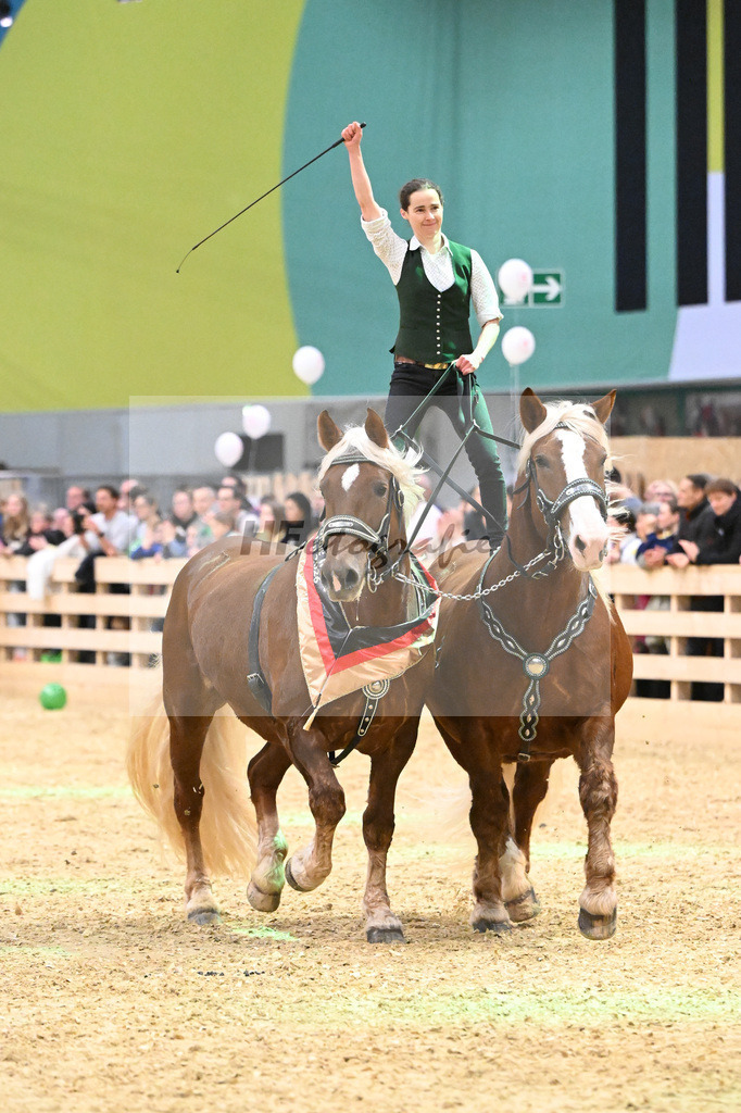 Schauprogramm_Ungar. Post_1260945 | hf-fotografie - Realisiert mit Pictrs.com