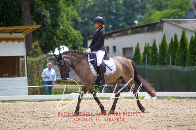 DKP42257 | Turniersportfotografie; Pferdefotografie; Dressurfotografie