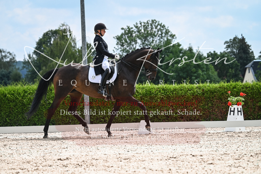 DSC_2571 | Pferde- und Turnierfotografie in Westsachsen. Pferdeportraits, Auftragszeichnungen und intuitive Kunst.