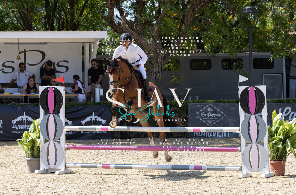 IMG_0384 | s-jay-photography - Realisiert mit Pictrs.com