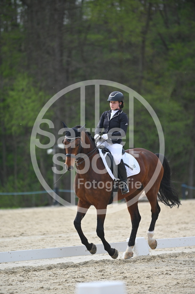 DSC_4977 | sattelsport - Realisiert mit Pictrs.com