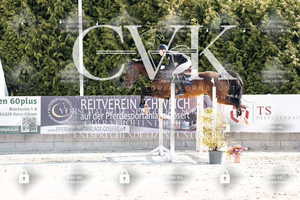 CK902125 | Turnierfotografie Pferdefotografie Trier Rheinland-Pfalz Pferdesport Reitsport Tierfotografie Sportfotografie Pferdevideo Pferdevideografie Equestrianvideography equestrianphotography  - Realisiert mit Pictrs.com