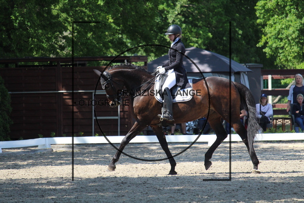 IMG_4930 | franziskalange - Realisiert mit Pictrs.com