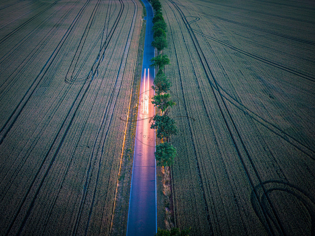 2026-06-26_22-18-04_000 | Lange Straße zwischen Feldern mit Bäumen bei Sonnenuntergang in ländlicher Umgebung, Zeulenroda-Triebes, Thüringen, Deutschland - Realisiert mit Pictrs.com