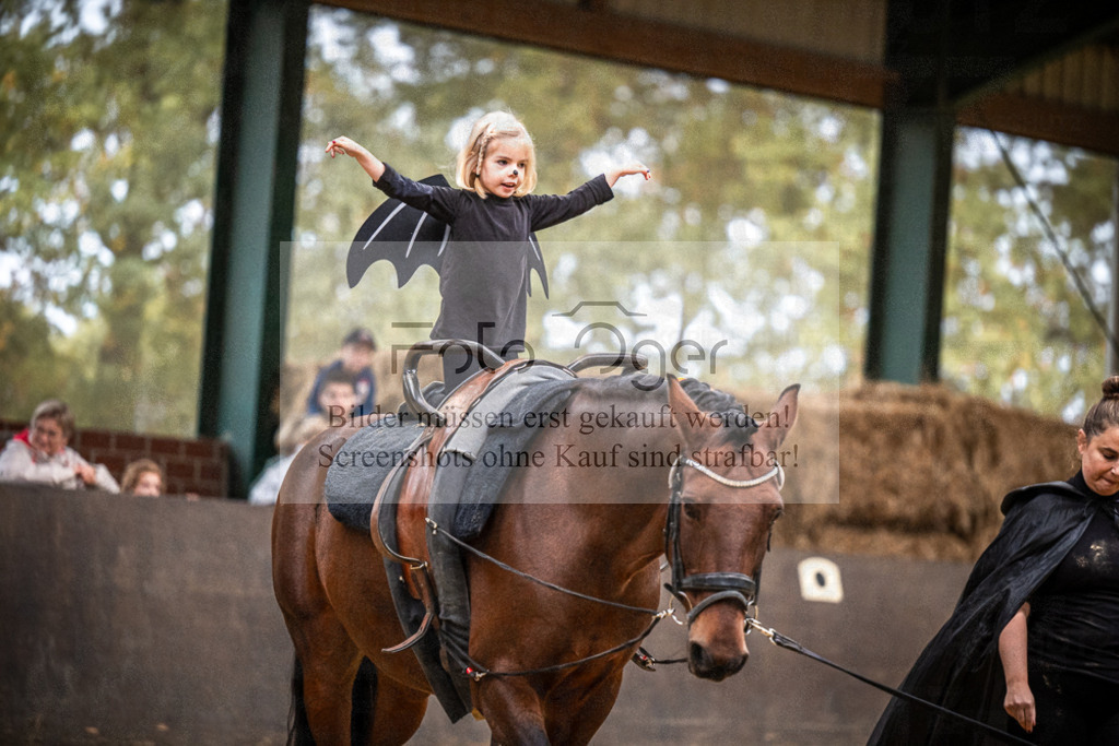 DOS_0143 | Entdecke hochwertige Reitturnierfotos von Foto Oger. Professionell, emotional und authentisch – jetzt Lieblingsmomente im Shop bestellen.Deutschlandweite Turnierfotografie. - Realisiert mit Pictrs.com