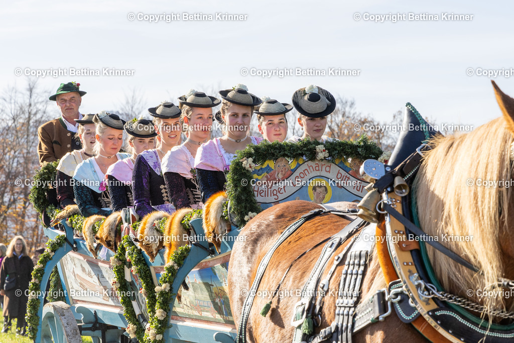 LBT24-1513 | foto-bettina-krinner - Realisiert mit Pictrs.com