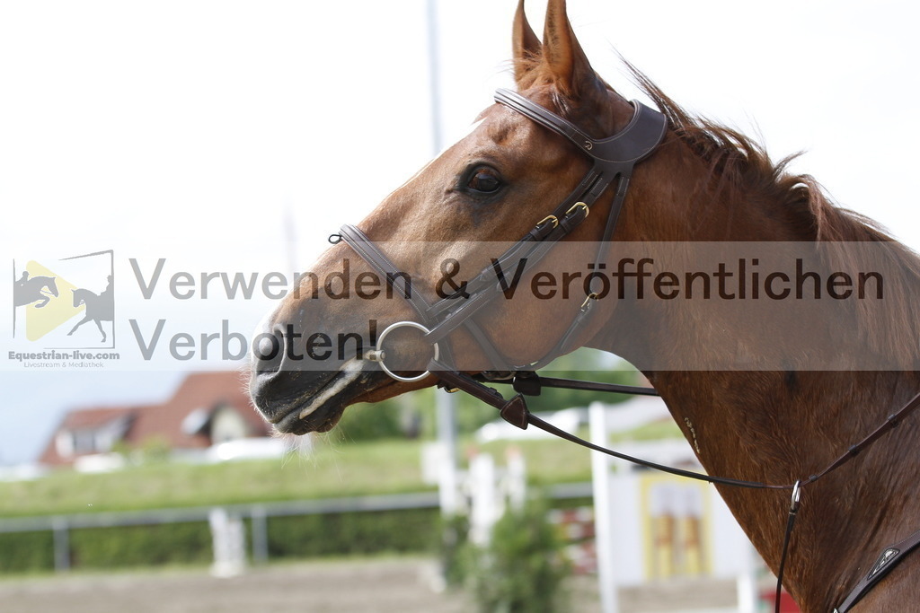 _MG_0195 | equestrian-live-com