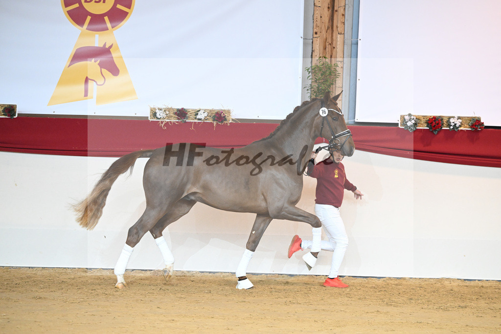 Kat-Nr. 76 Vitalis_Beckmann_1231522 | hf-fotografie - Realisiert mit Pictrs.com