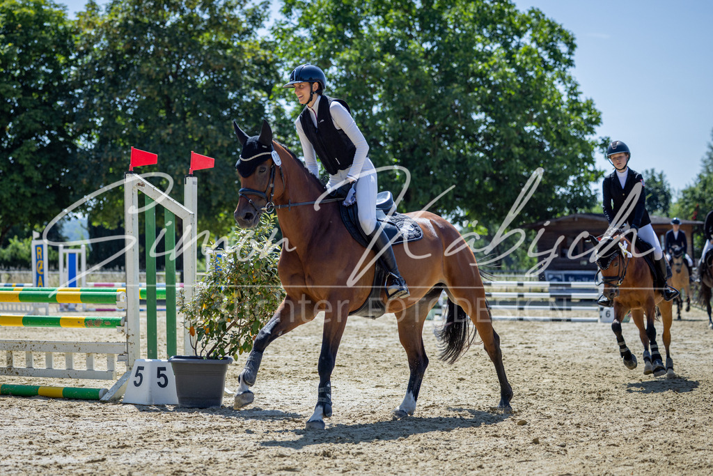 20260704-_3LI8239 | Tierfotografie Pferde, Hunde, Katzen, Haustiere.
Turnierfotografie Reitturniere, Reiten, Springreiten, Dressur in Hanau, dem Main-Kinzig-Kreis und dem Rhein-Main- Gebiet um Frankfurt