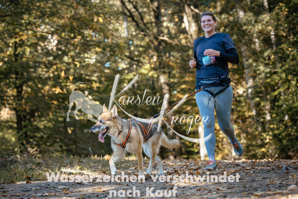 1145_ZZ93356 | kk-dogfotos