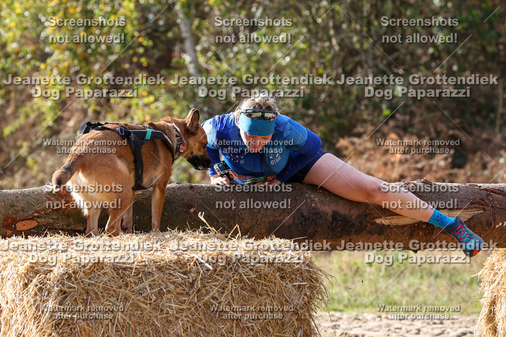 Dog Paparazzi - Strongdog 10-25-5789 | Dog Paparazzi Jeanette Grottendiek Fotografie & Videografie - Realisiert mit Pictrs.com