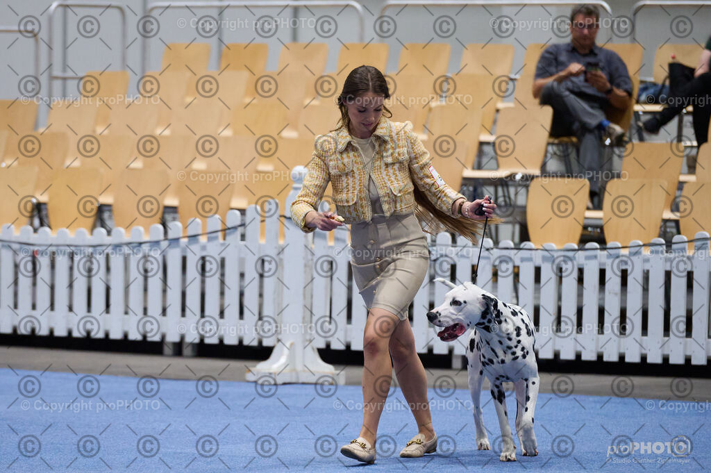 202406_ÖKV-IHA-Tulln24_DSC_3335 | proPHOTO - Realisiert mit Pictrs.com