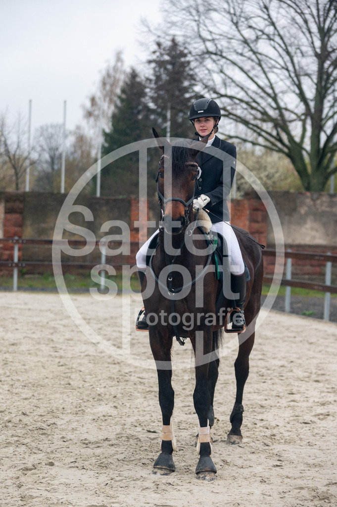 DSC_9133 | sattelsport - Realisiert mit Pictrs.com