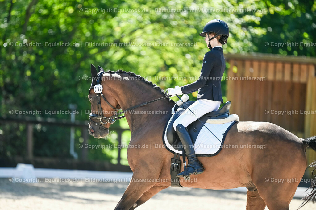 20230908_06_Dressur-L-Trense_0325 | equistock