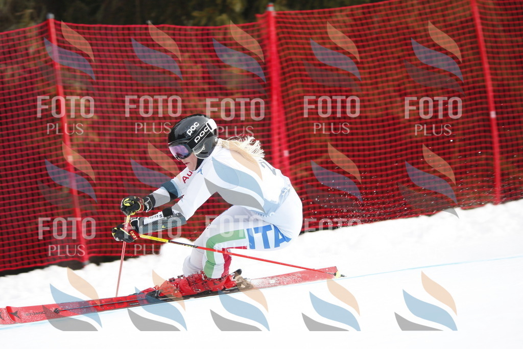 D4901 | holidayphoto