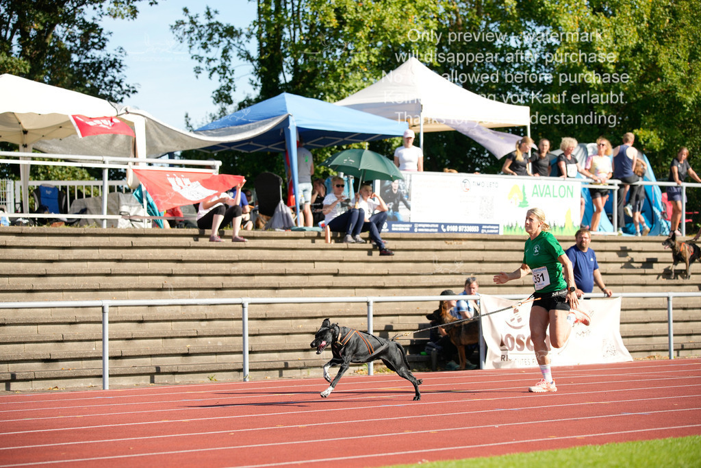 Sonntag_Staffel (136 von 336) | stephaniefillaphotographie - Realisiert mit Pictrs.com
