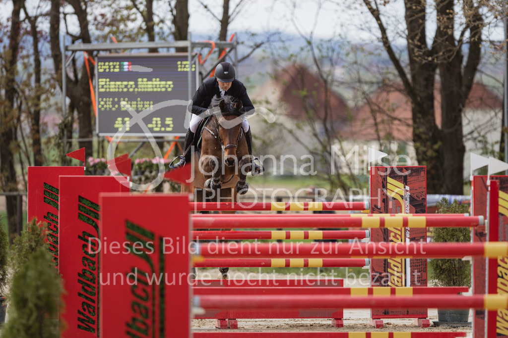 230501_SpengeW_Stil-S-404 | Deine schönsten Turniermomente als professionelle Fotos! Entdecke hochwertige Pferdesport-Fotografie im Online-Shop. Jetzt Fotos finden & bestellen!