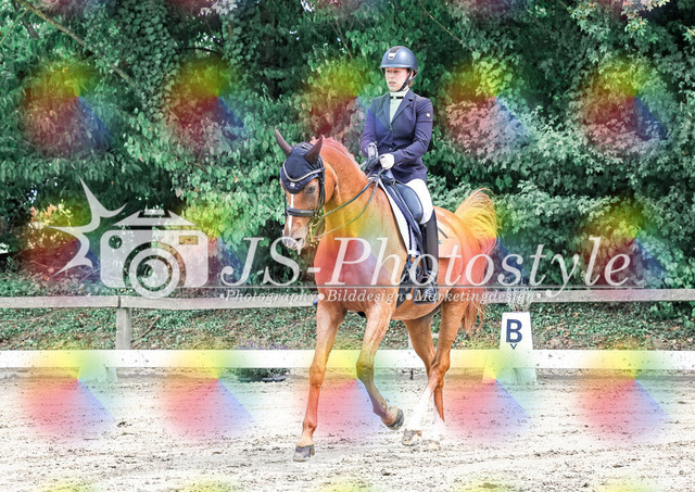 20250727_Dressurprfg_Kl.Mxx-37 | JS-Photostyle - Sport-/Portrait- & Eventfotografie