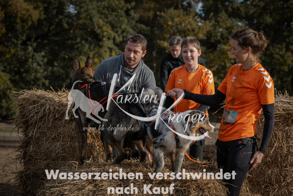 1032_ZZ98579 | kk-dogfotos