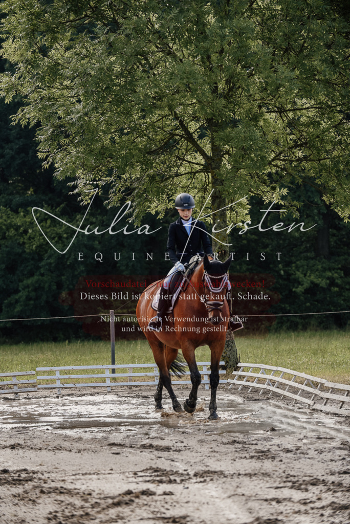 DSC_8097 | Pferde- und Turnierfotografie in Westsachsen. Pferdeportraits, Auftragszeichnungen und intuitive Kunst.