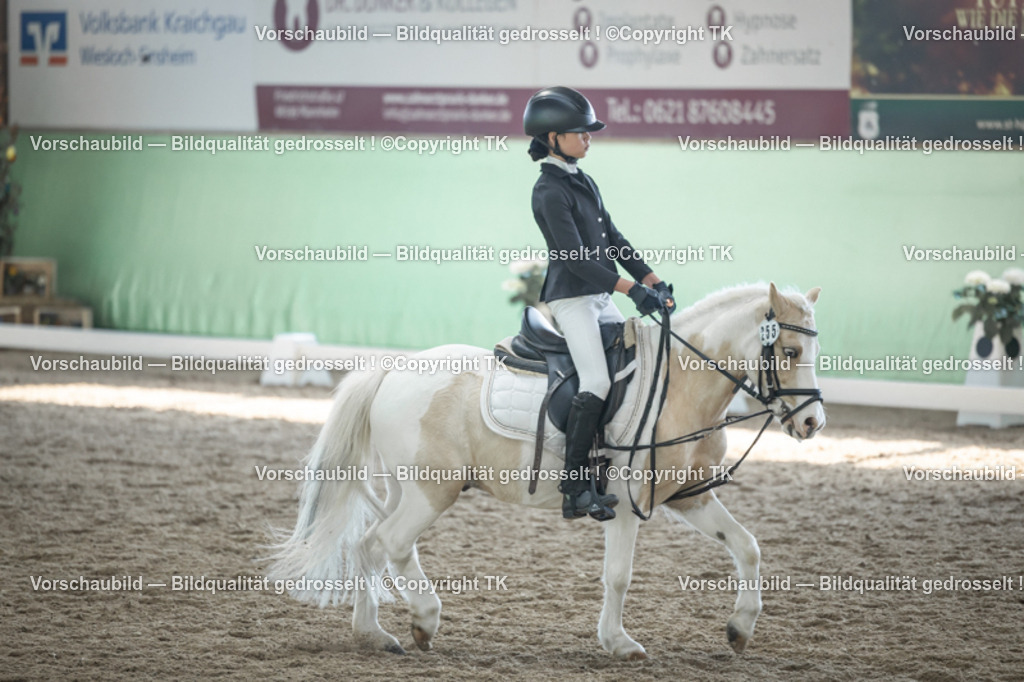 _D5A9045 | Emotionale Pferde- & People-Fotografie rund um Heidelberg, Leimen & Umgebung. Natürliche Fotos von Pferd, Mensch & Familie. Jetzt Termin sichern!