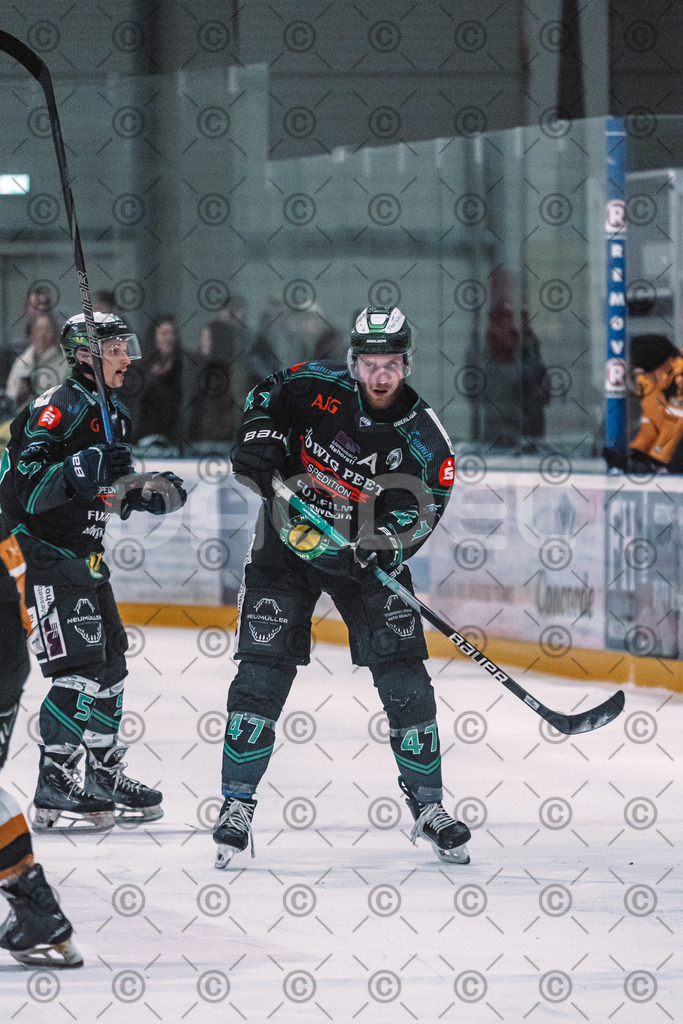 Alligators_vs_Fuessen_01_03_2026_PP-26 | Höchstadt Alligators Fotogalerie: Eishockey-Action aus Franken. Professionelle Spielfotos, Portraits & Stadionbilder zum Download. Jetzt entdecken! - Realized with Pictrs.com