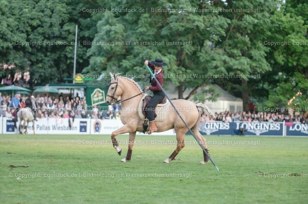 20230526_Pferdenacht_0733 | equistock