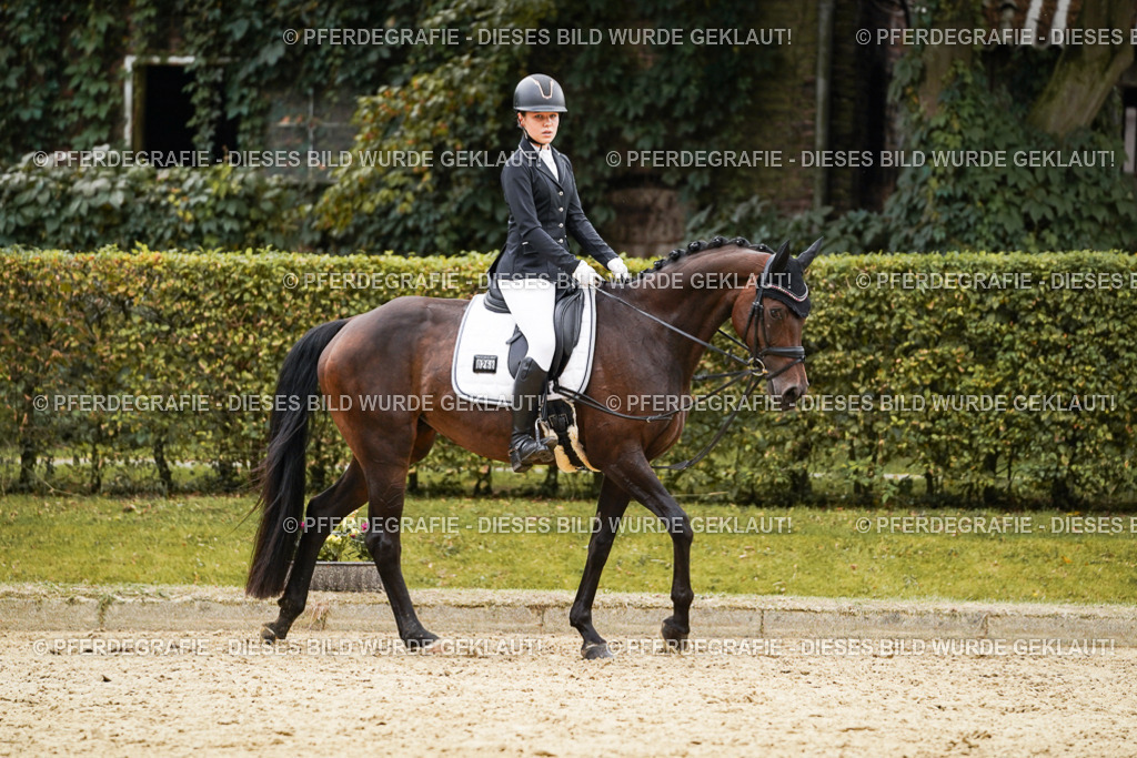 DSC09913 | Pferdegrafie