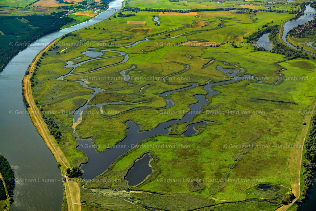 3637526 | Nationalpark Unteres Odertal  bei  GóRKI KRAJNICKIE 25.08.2016 Grasflächen- Strukturen einer Wiesen- und Feld Landschaft in der Auen- Niederung am Ufer des Flußverlaufes der Oder in Gorki Krajnickie im Bundesland Brandenburg, Deutschland // Grassland structures of a meadow and field landscape in the lowland on the banks of the river Oder in Gorki Krajnickie in the state Brandenburg, Germany Foto: Gerhard Launer