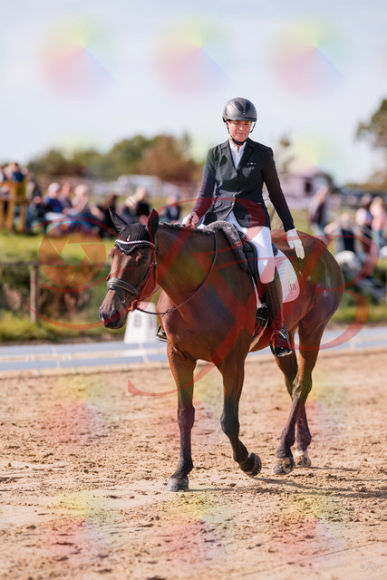 2026_10_03_Siefer-Hof_123242_Z81_31055246 | Professionelle Reitsport-, Turnier- und Eventfotografie von Robert Broda. Galerien mit ausgewählten und bearbeiteten Bildern direkt online ansehen und bestellen.
