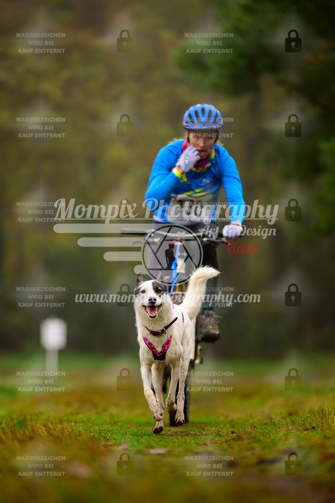 MompixPhotography_Bischwiller2025_Bike-97 | mompixphotography