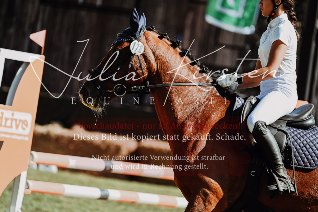 DSC_6686 | Pferde- und Turnierfotografie in Westsachsen. Pferdeportraits, Auftragszeichnungen und intuitive Kunst.