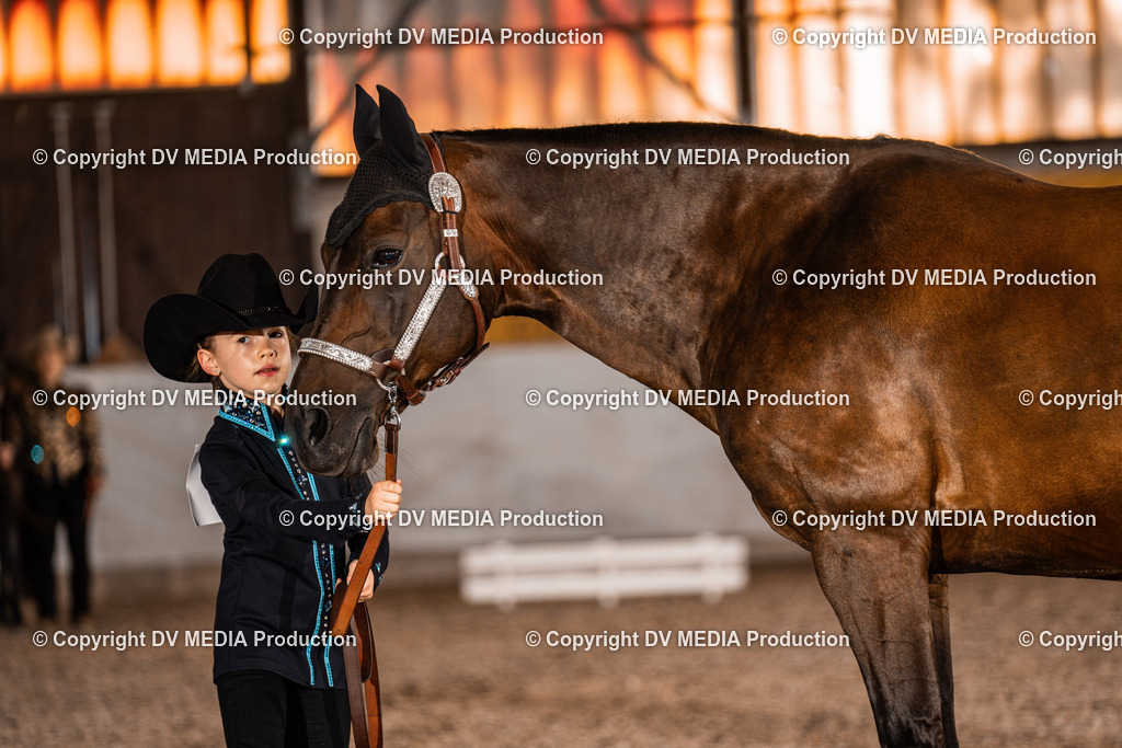 ZH100047 | dv-media-shop - Realisiert mit Pictrs.com