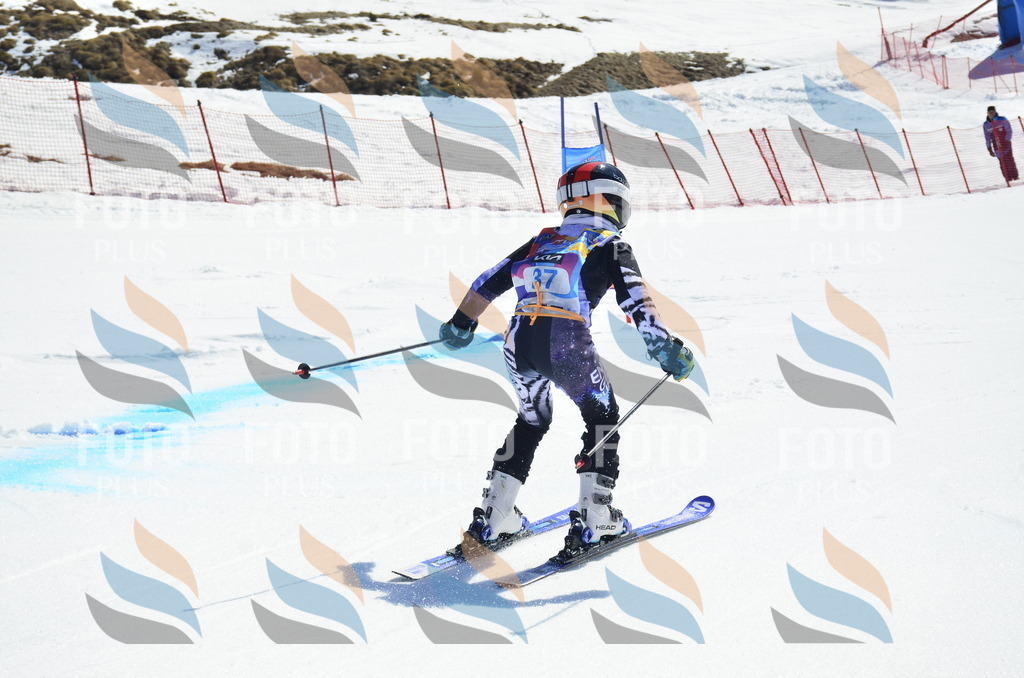 _ELE0034 | holidayphoto