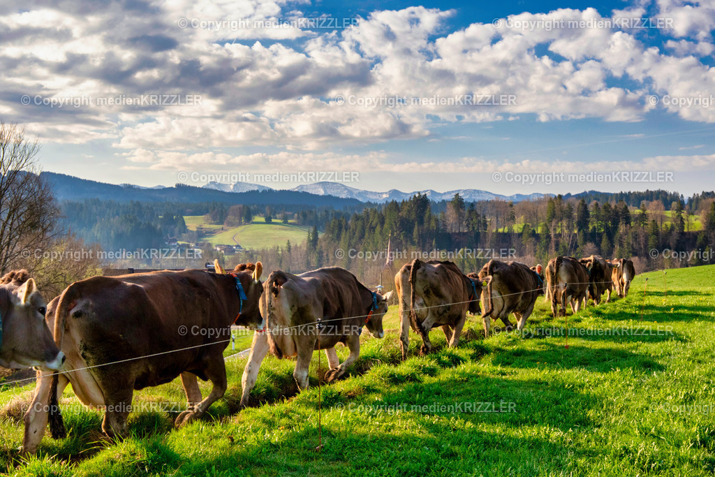 _07A7152 | medienkrizzler - Realisiert mit Pictrs.com