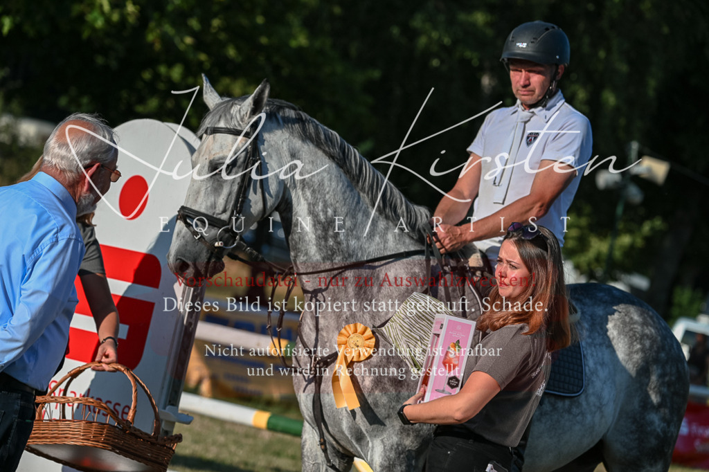 DSC_3173 | Pferde- und Turnierfotografie in Westsachsen. Pferdeportraits, Auftragszeichnungen und intuitive Kunst.