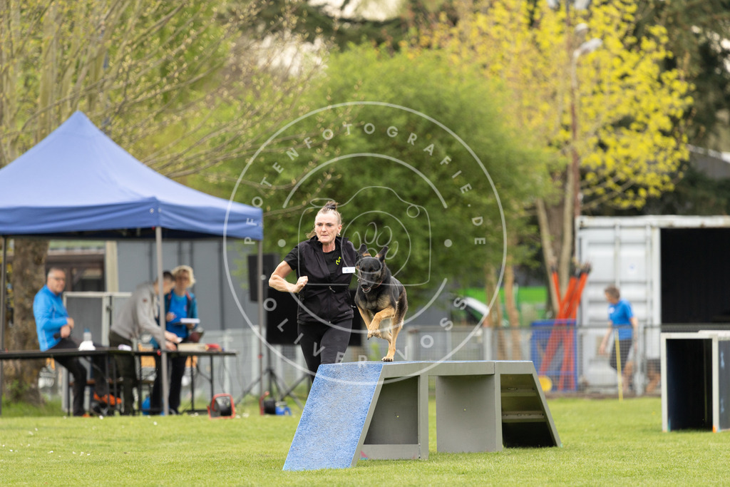 Pfotenfotografie_DV3A8949 | Hundefotografie, Tierfotograf, Pfotenfotografie, Fotoshooting Hund, Hunde Portrait, Hundesport, Hundeportraits, Heideshooting, Hunde, Sportfotograf, Hundefotograf, Turnierhundsport, THS,  - Realisiert mit Pictrs.com