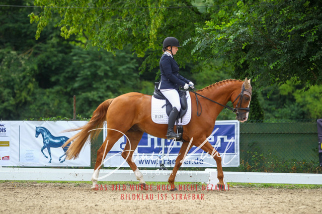 DKP40488 | Turniersportfotografie; Pferdefotografie; Dressurfotografie