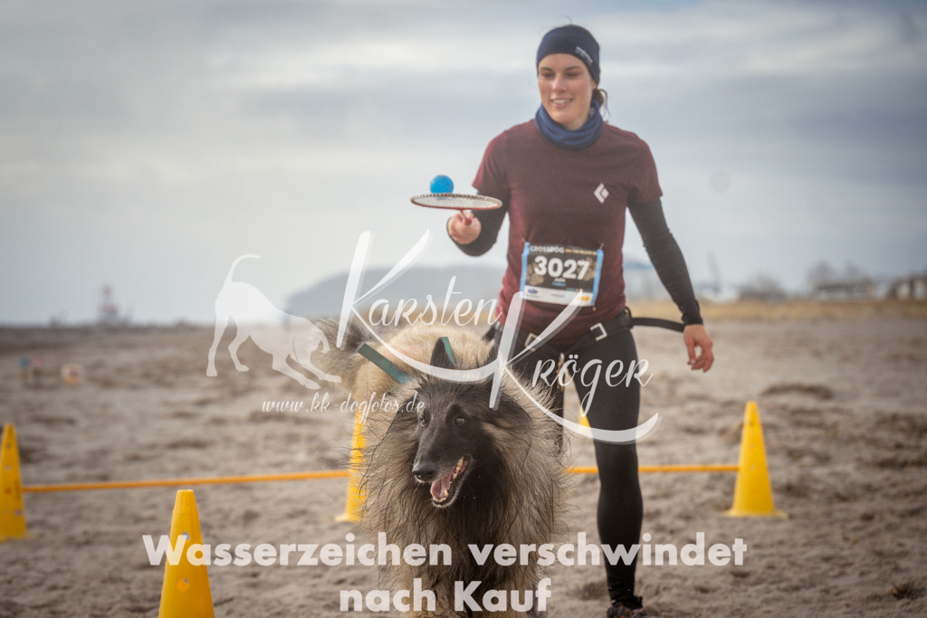 1116_ZZ97548 | kk-dogfotos