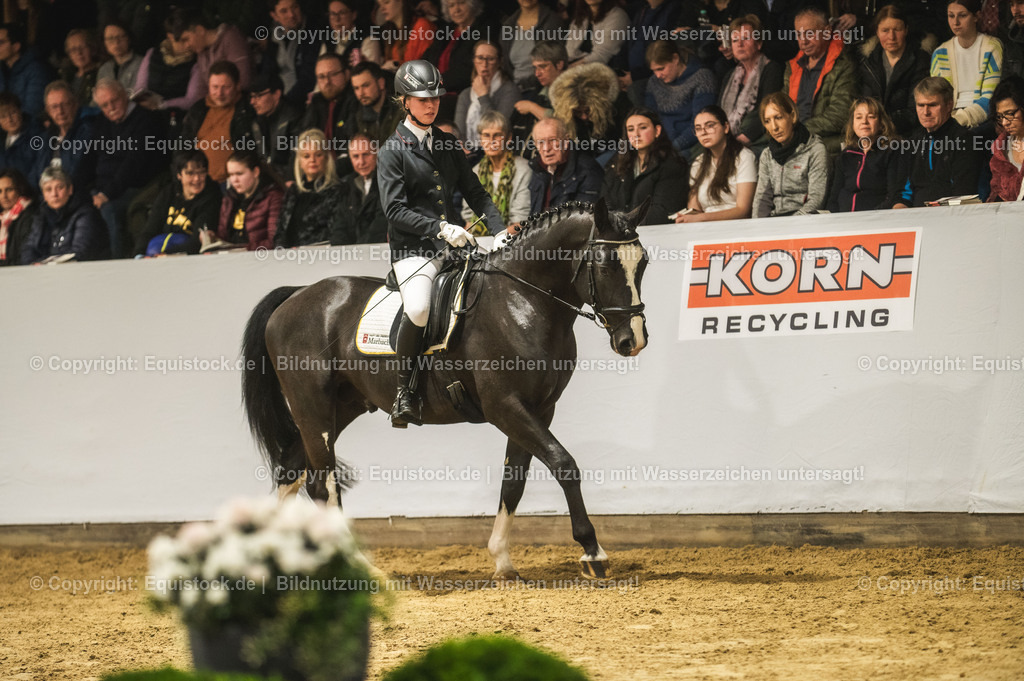 20240302_Hengstvorstellung_Marbach_TOMsPiC_0719 | equistock