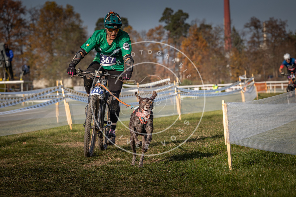 CaniXpix_0L8A7734 | Hundefotografie, Tierfotograf, Pfotenfotografie, Fotoshooting Hund, Hunde Portrait, Hundesport, Hundeportraits, Heideshooting, Hunde, Sportfotograf, Hundefotograf, Turnierhundsport, THS,  - Realisiert mit Pictrs.com