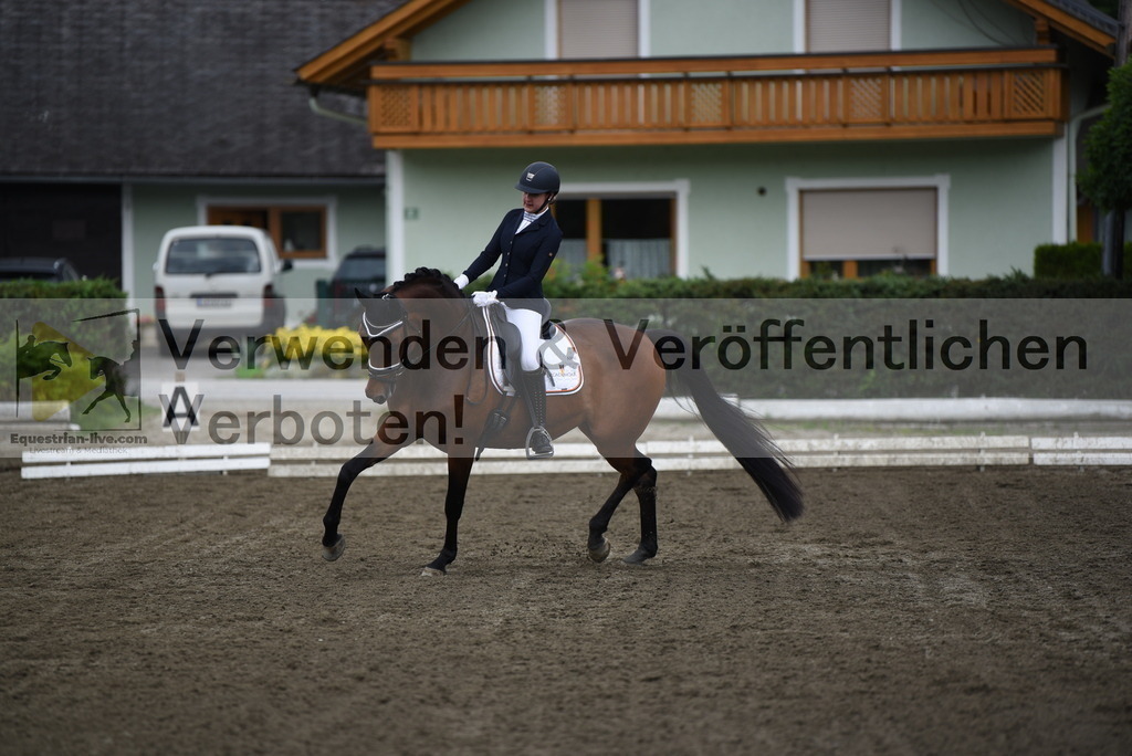 DSC_4162 | equestrian-live-com