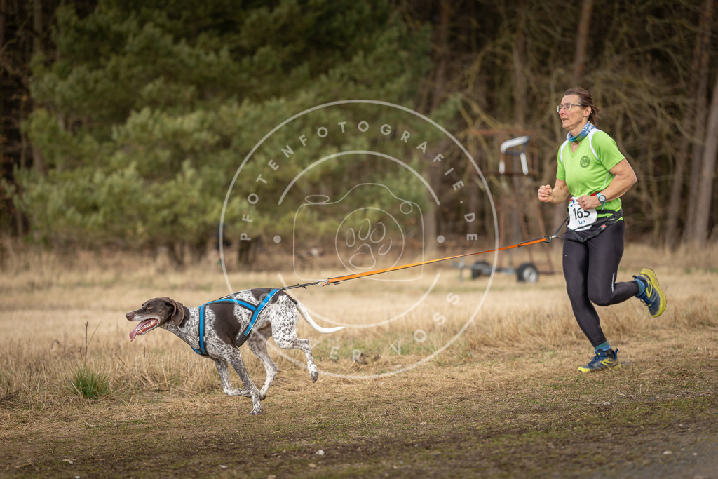 DV3A5371 | Hundefotografie, Tierfotograf, Pfotenfotografie, Fotoshooting Hund, Hunde Portrait, Hundesport, Hundeportraits, Heideshooting, Hunde, Sportfotograf, Hundefotograf, Turnierhundsport, THS,  - Realisiert mit Pictrs.com