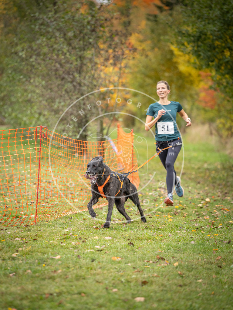 Pfotenfotografie_DV3A2484 | Hundefotografie, Tierfotograf, Pfotenfotografie, Fotoshooting Hund, Hunde Portrait, Hundesport, Hundeportraits, Heideshooting, Hunde, Sportfotograf, Hundefotograf, Turnierhundsport, THS,  - Realisiert mit Pictrs.com