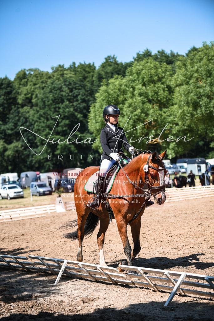 DSC_3429 | Pferde- und Turnierfotografie in Westsachsen. Pferdeportraits, Auftragszeichnungen und intuitive Kunst.