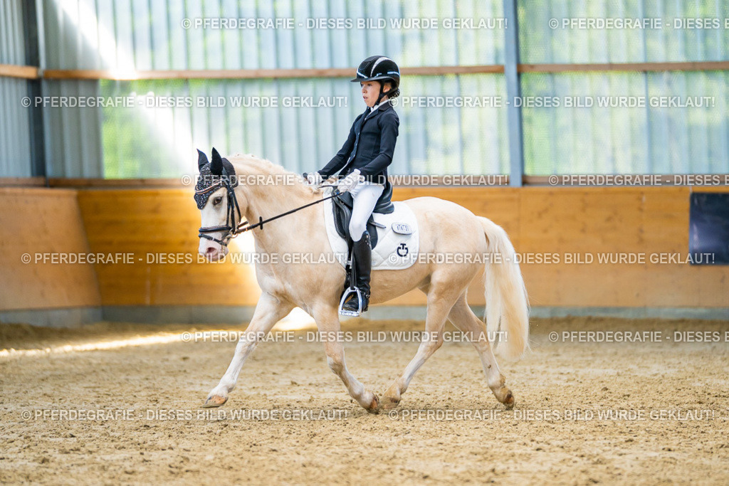 DSC07425 | Pferdegrafie