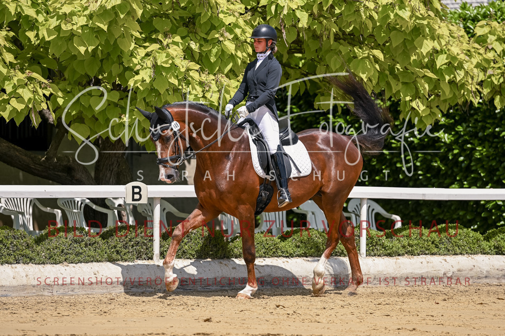 Schugtsche-Aluta25-48.Reitpferfdeprf.-258 | Schugtsche Fotografie - Realisiert mit Pictrs.com