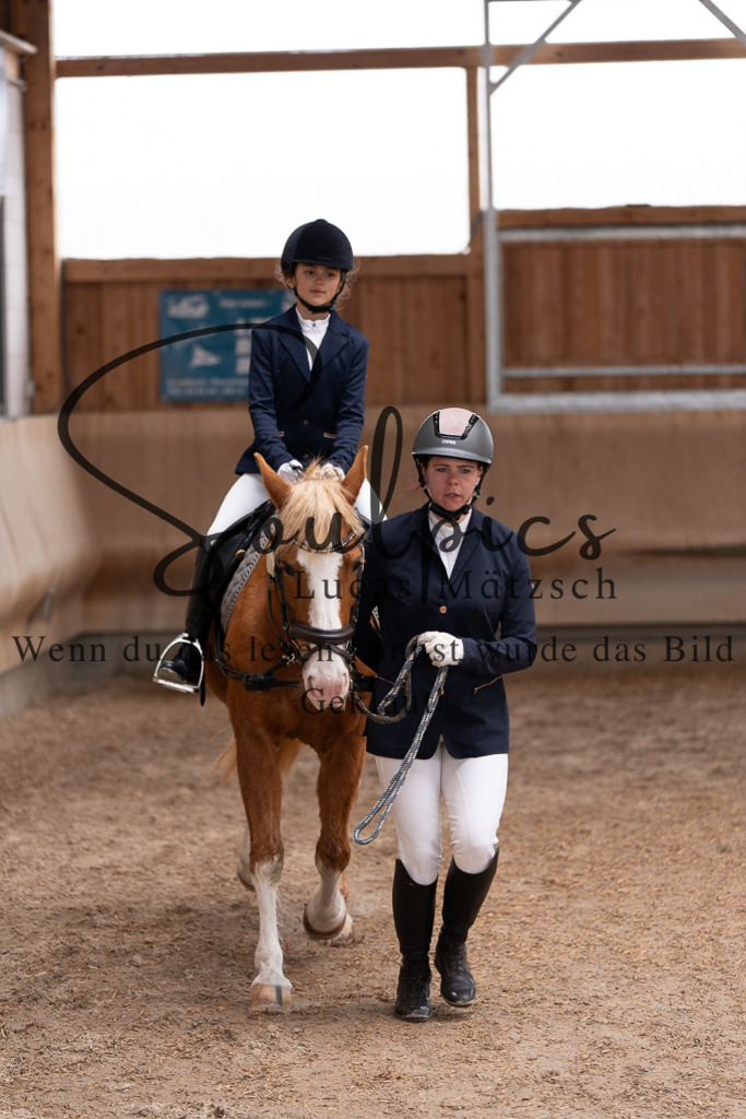 A7507257 | Pferdefotograf