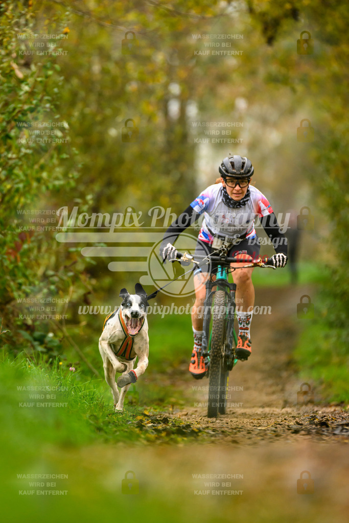 MompixPhotography_20TSB_E6_Bike-43 | PayLife