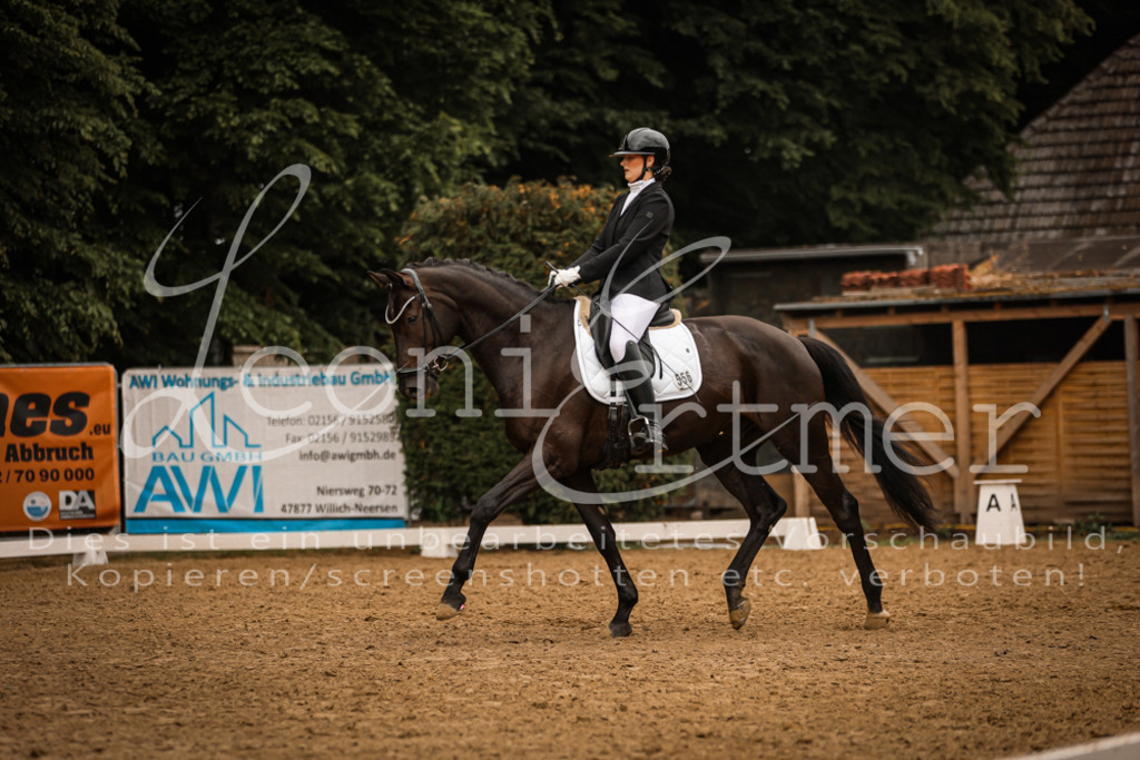 DoDrA200040 | Leoni Ertmer Photography - Realisiert mit Pictrs.com